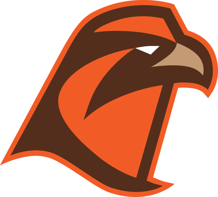 Bowling Green Falcons 2006-Pres Alternate Logo v7 diy iron on heat transfer